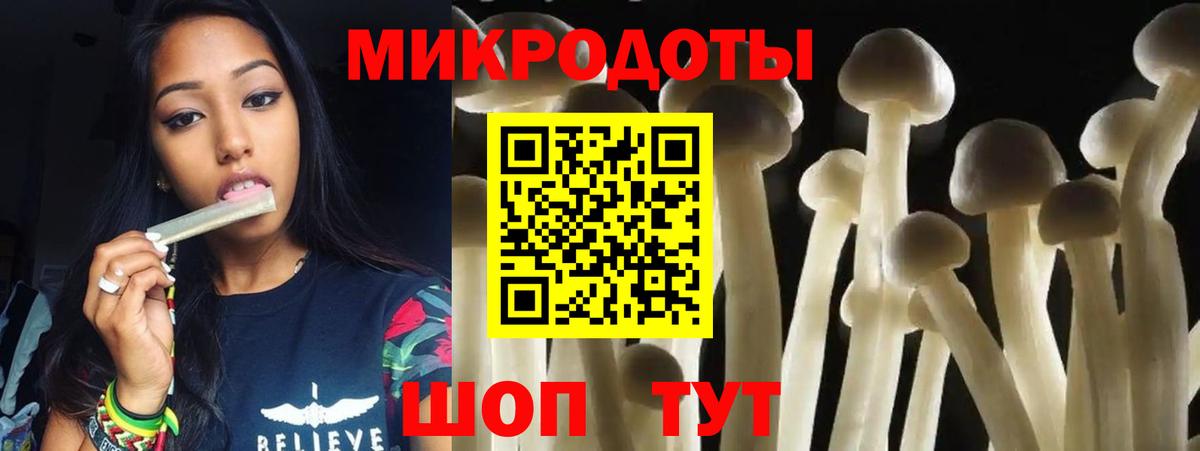 Псилоцибиновые грибы GOLDEN TEACHER Тимашёвск